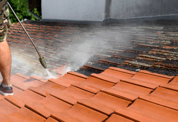 Pressure Washing Contractors in Collegedale, TN