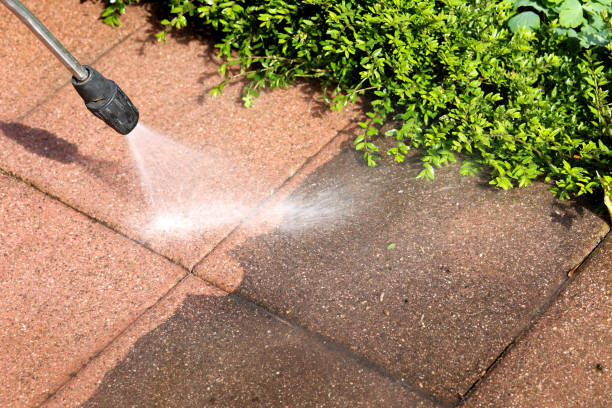 Best House Pressure Washing  in Collegedale, TN