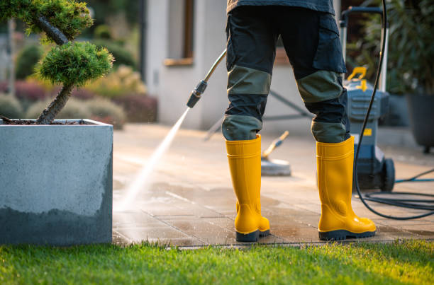 Best Roof Power Washing Services  in Collegedale, TN